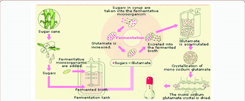 Monosodium glutamate production process